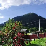 Затишок Карпат * Prelyuchka
