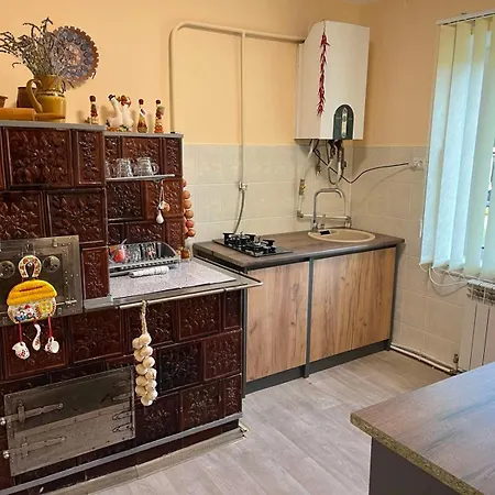 серце карпат Holiday home