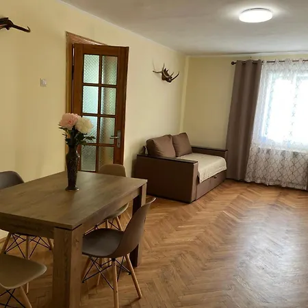 серце карпат Skole